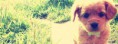 /album/meninas/capas-para-facebook-de-meninas-3-jpg/